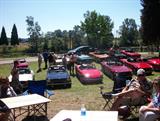 Borst Park Centralia Picnic 2013 012